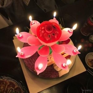  생일축하 연꽃초