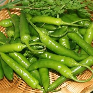 팜웨이 청양고추 상 5kg