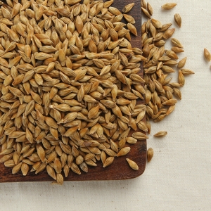 아이보리  보리차 500g