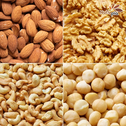 더원비앤에프  넛츠피아 아몬드 슬라이스 1kg