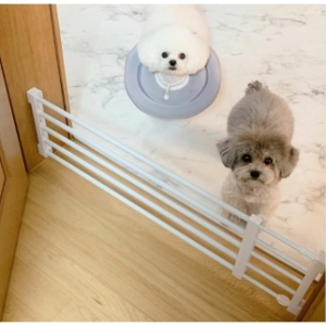 파파스 강아지울타리