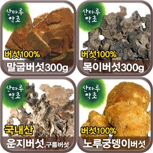 말굽버섯 목이 운지 노루궁뎅이 상황 영지 차가버