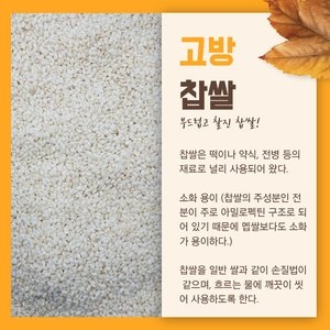 진솔그레인 2020 찹쌀 3kg[1개]