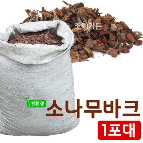 소나무바크 저가형