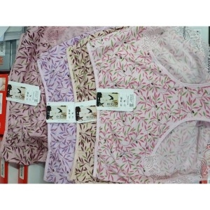 조선영 527 텐셀 팬티 삼각 KOREA 레이스 PT 갱수네