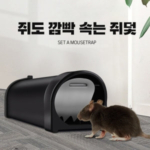 예홈 쥐도 깜빡 속는 쥐덫 끈끈이 쥐약 쥐덪 쥐덧 퇴치기