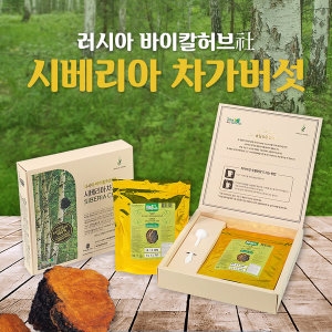굿허브닝 바이칼라이프 프리미엄 차가버섯 분말 100g 동결건조추출분말 19년 12월