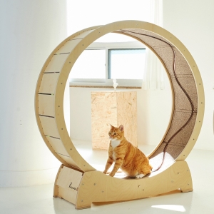 집사의반격  스타캣휠 물고기 DIY 1060