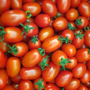 산정마을  대추 방울토마토 4-5번과 2kg