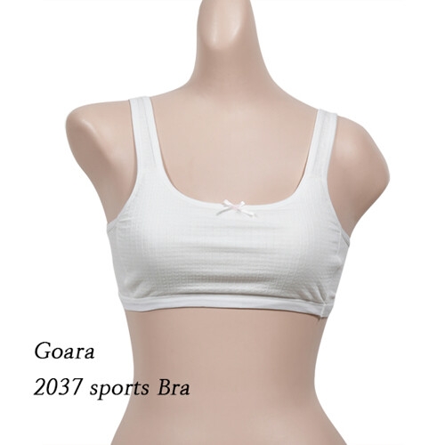 조은 Sogot  고  아  라  2037 주니어 스포츠 브라