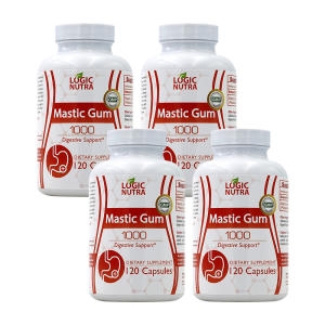 로직뉴트라 매스틱검 1000 120캡슐