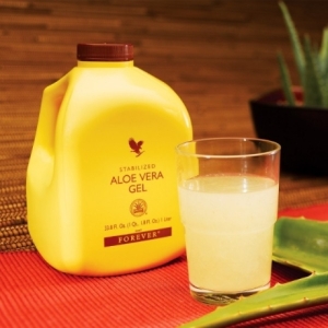 포에버리빙프로덕트 포에버 알로에 겔 1000ml