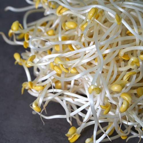 농부마음  산소 콩나물 2kg