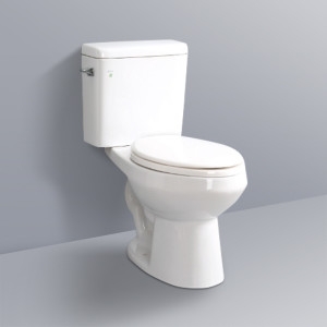 대림바스  인토 중대형 양변기 C-252