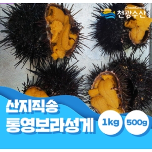 천광수산 통영 보라 성게알 500g[1개]