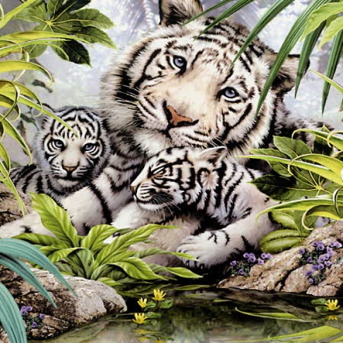 숲속의 백호가족  1000피스/직소퍼즐/동물/PL1280 _ 65850