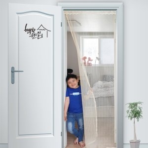 레일형 현관문 방충망