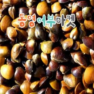 통영어부마켓 국내산 생재첩 1kg[1개]