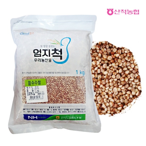 산척농협 충주 천등산 참살이 찰수수1kg