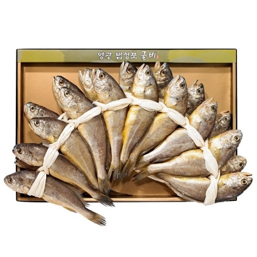 굴비나무  영광법성포 참굴비세트 3호 1.8kg