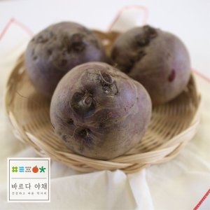 바르다야채  레드 비트 국내산 10kg
