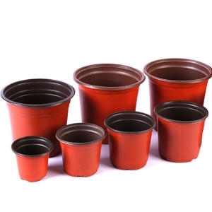 와일드사운드  플라스틱 모종 포트 화분