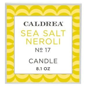  Caldrea Sea Salt Neroli Scented Candle 8.1 ozCaldrea 바다 소금 네롤리 향기 나는..