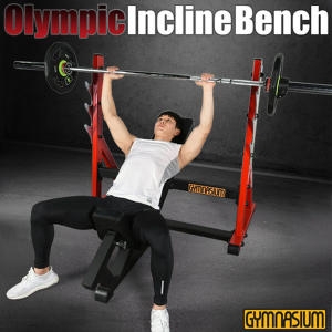 짐나지움  올림픽 각도조절벤치