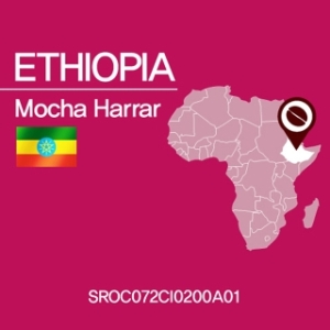 그린빈코리아  갓볶은 원두커피 에디오피아 모카 하라 골드 200g [1개]