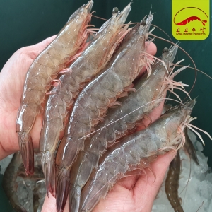 고고수산  국내산 왕새우 22-31미 1kg [1개]