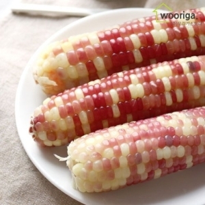 우리가스토리 냉동 삶은 홍찰 옥수수 12~14cm