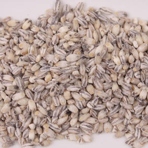 국산 검정보리 19년산검정찰보리