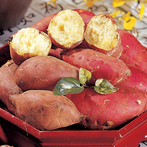 푸르젠  김형식 밤고구마 특상 5kg