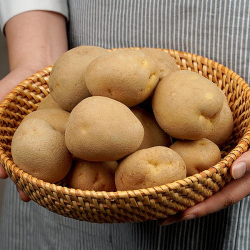 한아름농수산  감자 중 5kg