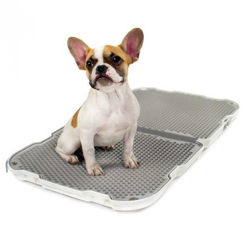 모드코 쉐이크독 배변 트레이