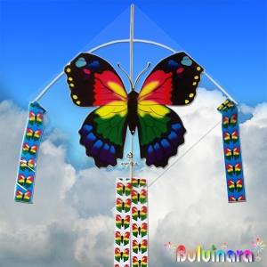 불의나라  공작새연