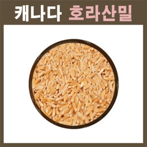THE큰나무  고대곡물 호라산밀 카무트 500g