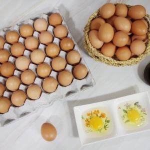 무항생제 싱싱한 계란 대란 30구