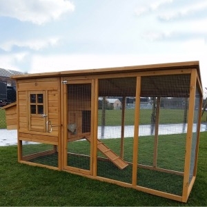 카멜  닭장 대형 CK-2000