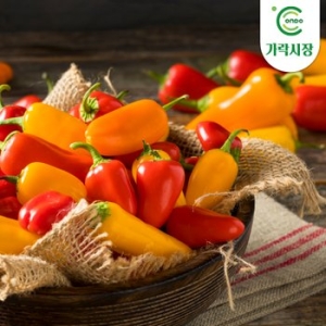 온도씨  가락시장 경매 미니파프리카 약