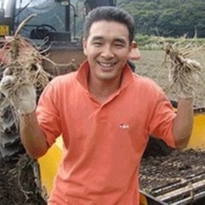 금산부부인삼  쭉뻗은원수삼 정과용 30-40뿌리 750g