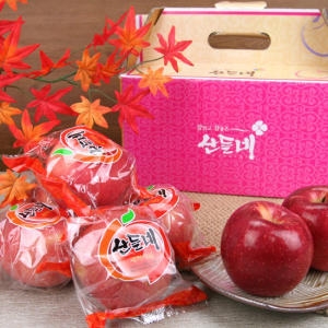 산들네  껍질째 먹는 경북 세척사과 16~17과내외 3kg