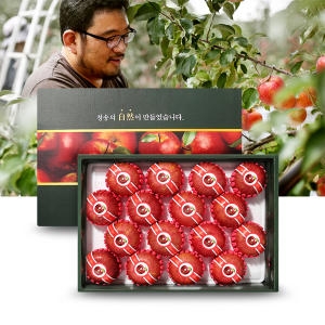 털보네  사과 명품 선물세트 13~17과 5kg
