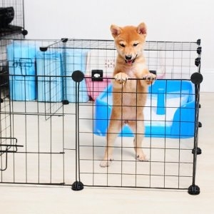 강아지 철제 울타리 ABS보드