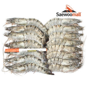 새우몰  블랙타이거새우 특A급 구이용 500g 15마리