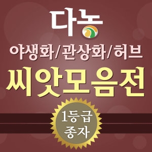 다농  야생화씨앗 허브씨앗모음전/잔디씨앗/꽃씨앗/화훼씨앗