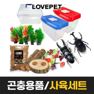 장수풍뎅이 사슴벌레 사육세트