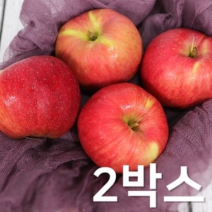 인팜  경북 햇 부사 사과 24-30과 5kg [2개]