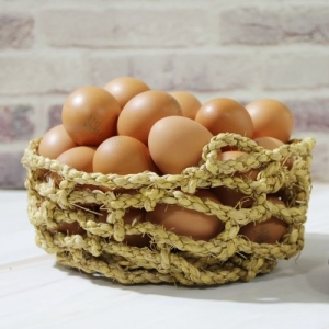 창녕 우포 계란 대란 90구