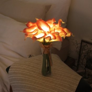 비아케이스튜디오  피치 카라 부케 LED 무드등